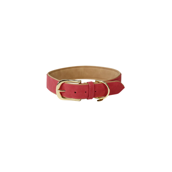 Vegan Leather Dog Collar - Kentucky