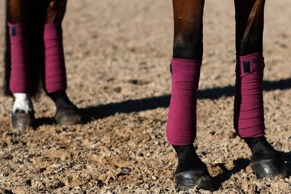 Bandes de polo Timeless Rose - Equestrian Stockholm
