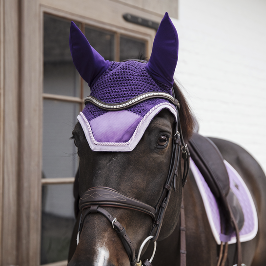 Bonnet Wellington Velvet Contrast - Kentucky