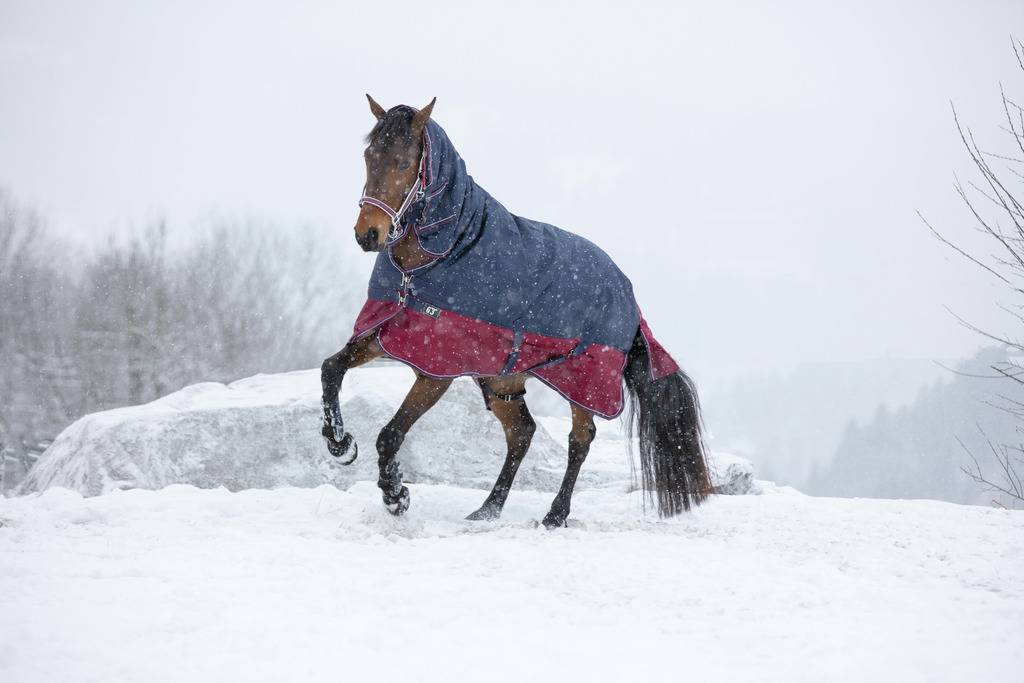 Tyrex 1200D Combo 350g Blanket - Equithème