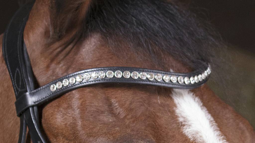 Pro Strass Bridle - Norton
