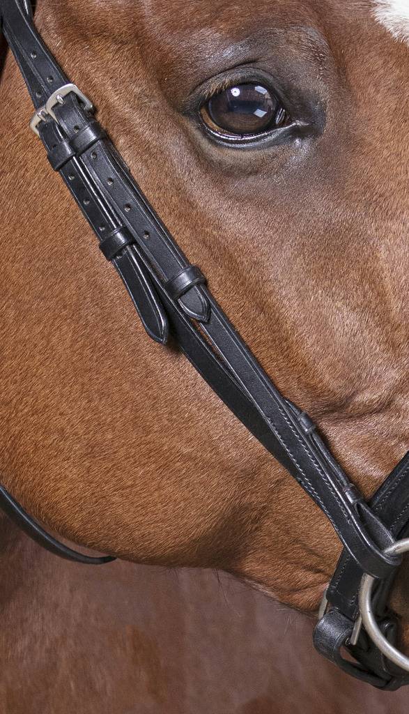 Comfort bridle - Norton PRO