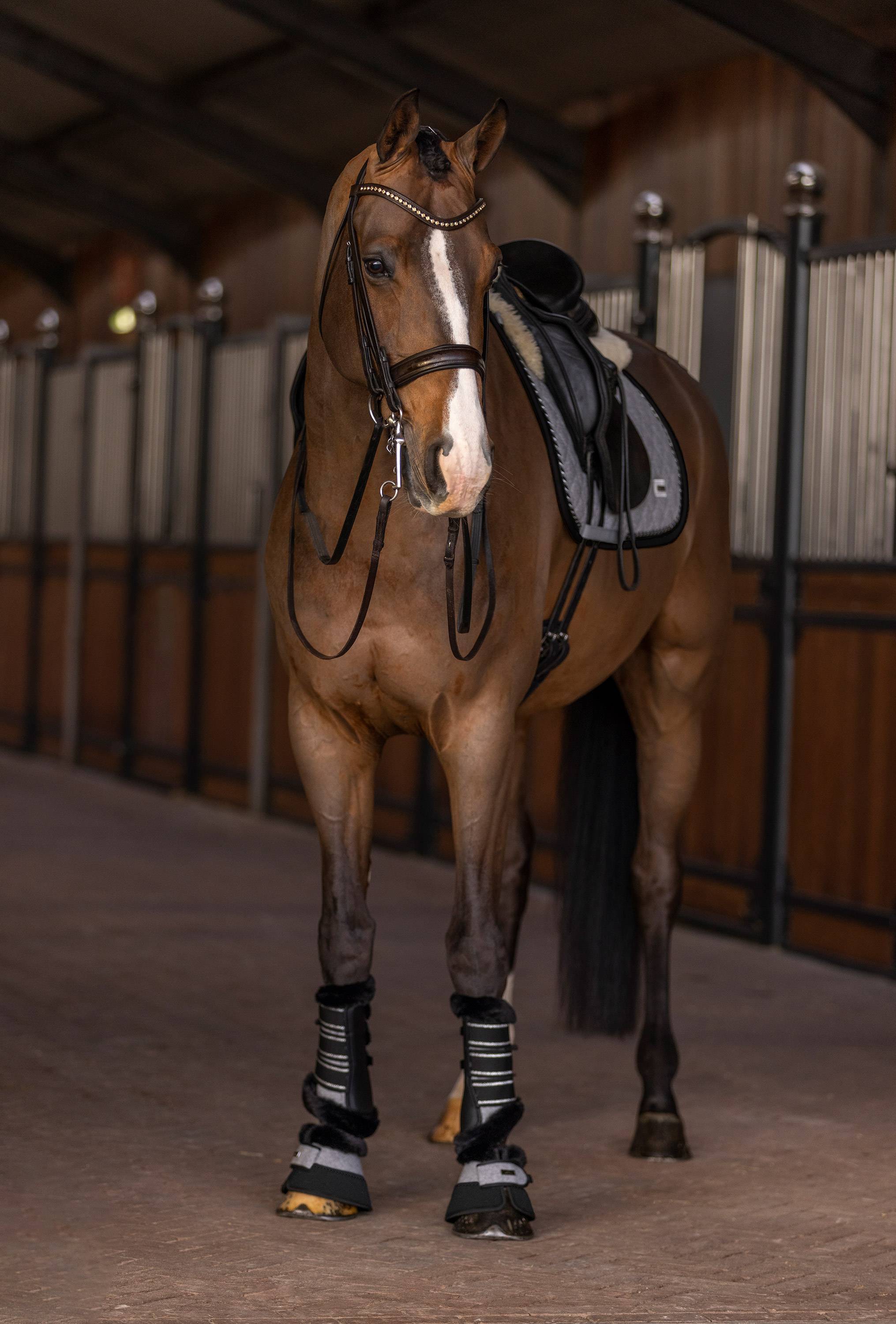 Francis saddle pad - HV Polo