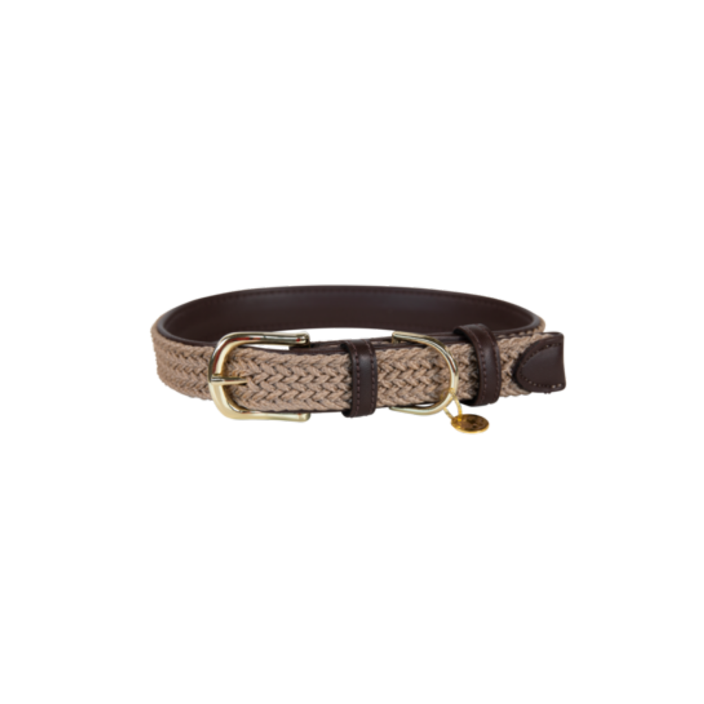 Collier pour chien en Nylon tressé - Kentucky