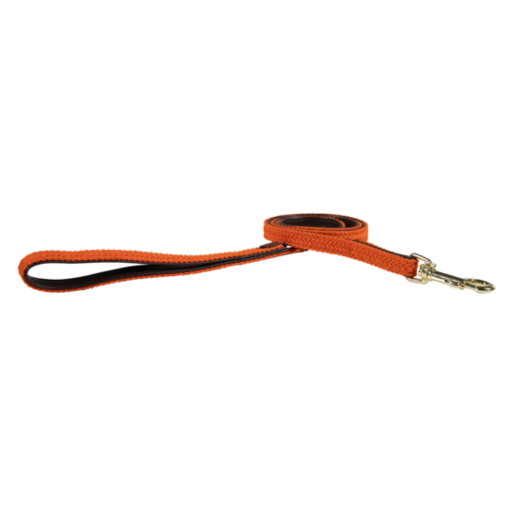 Braided Nylon Dog Leash - Kentucky