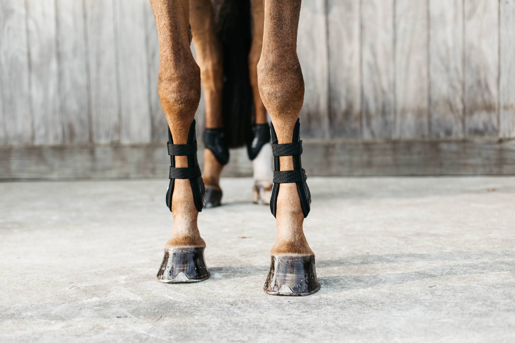 Bamboo Elastic Gaiters - Kentucky