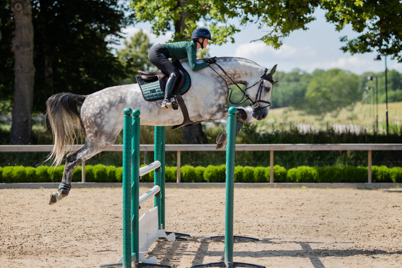 Tapis de selle Sportive Sycamore Green MIXTE - Equestrian Stockholm