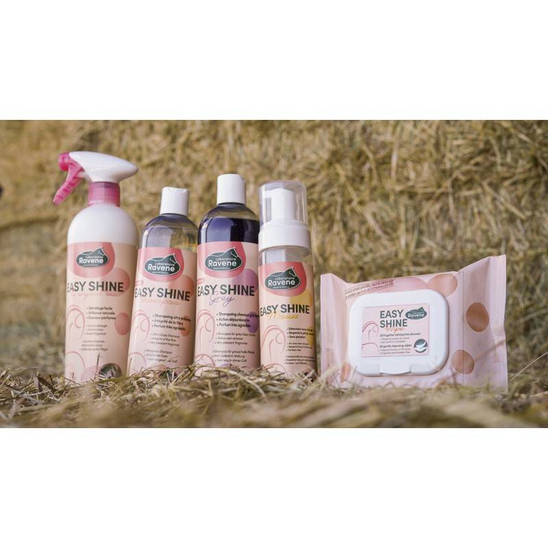 Easy Shine Shampoo - Ravene