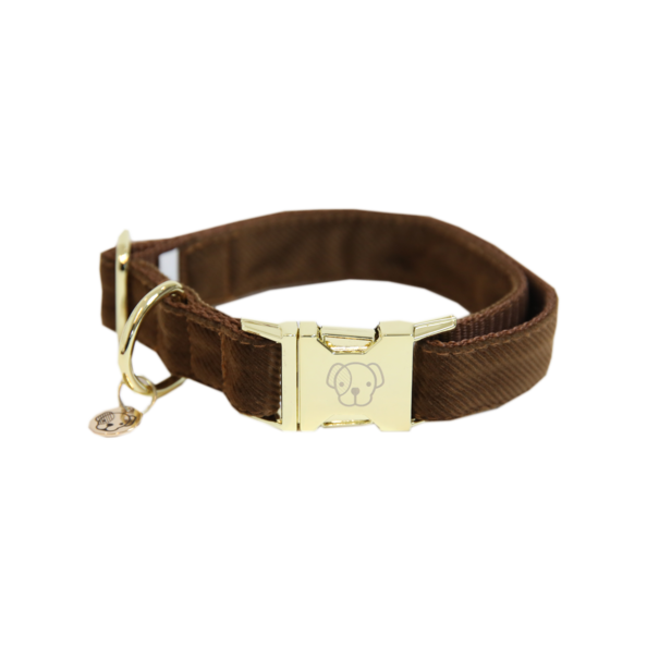 Brown Corduroy dog collar - Kentucky