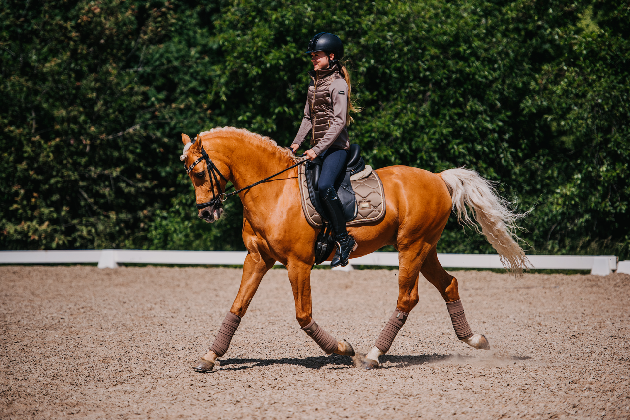 Tapis de selle Champagne DRESSAGE - Equestrian Stockholm