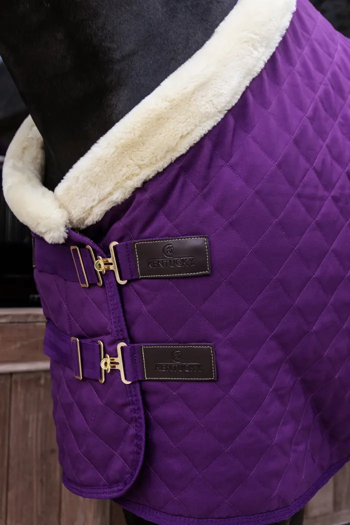 Presentation blanket 160 g Purple - Kentucky