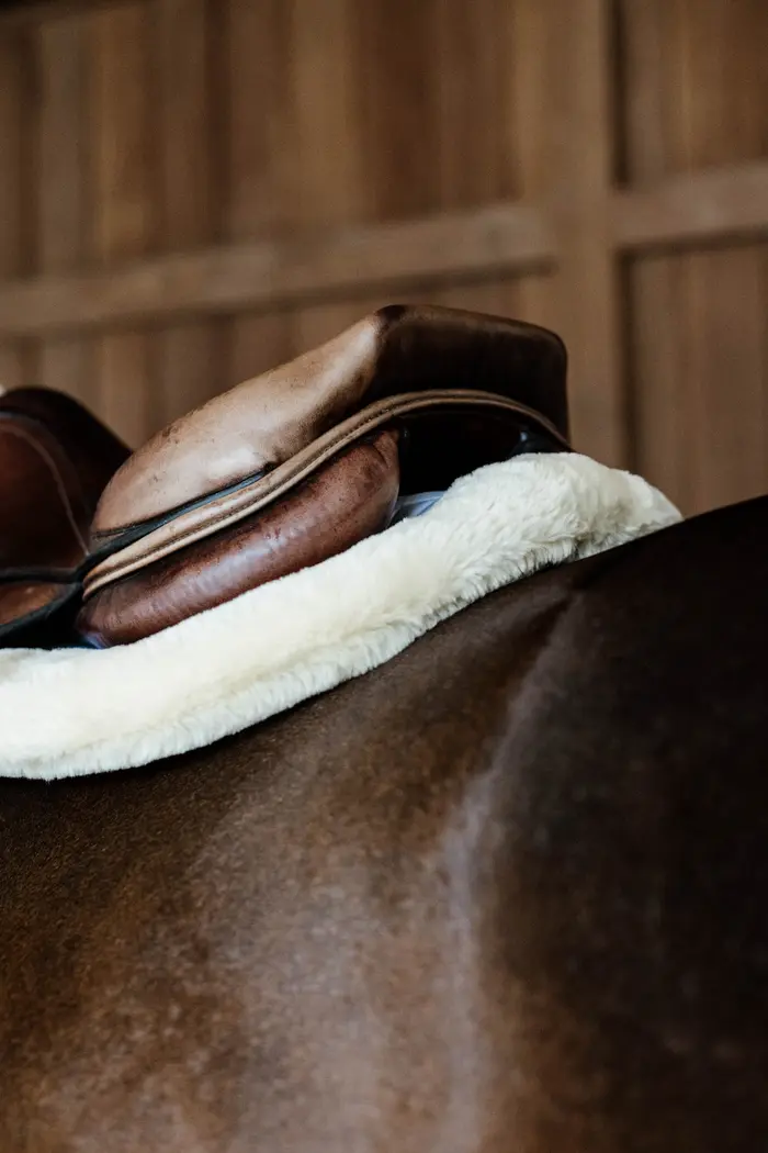 Hunter Sheep vegan saddle pad - Kentucky