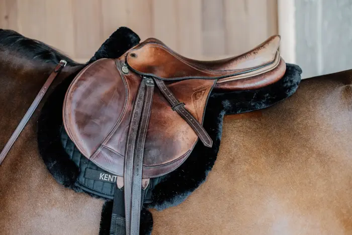 Hunter Sheep vegan saddle pad - Kentucky