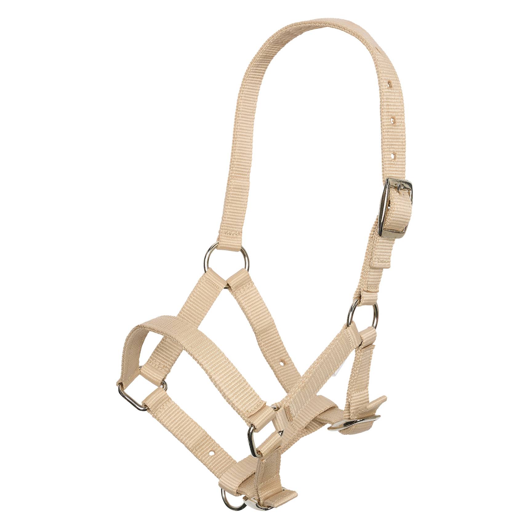Foal halter - Imperial Riding