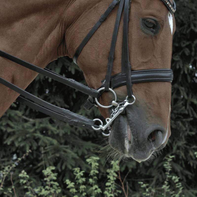 Mors à anneaux double brisure Novocontact - Sprenger