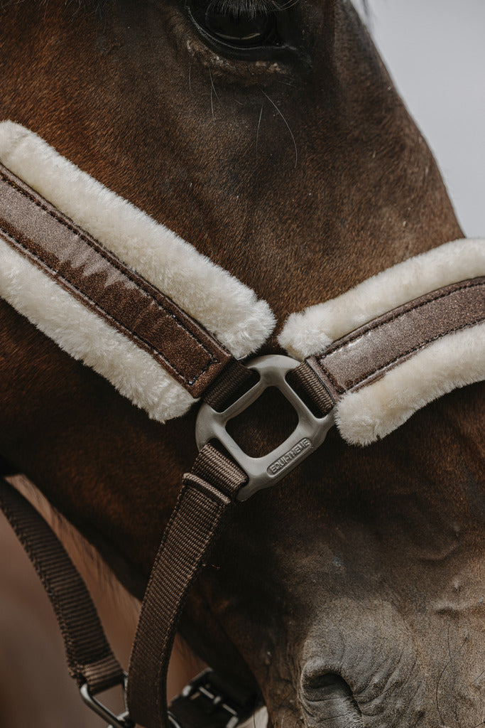 Licol nylon Fashion - Equithème