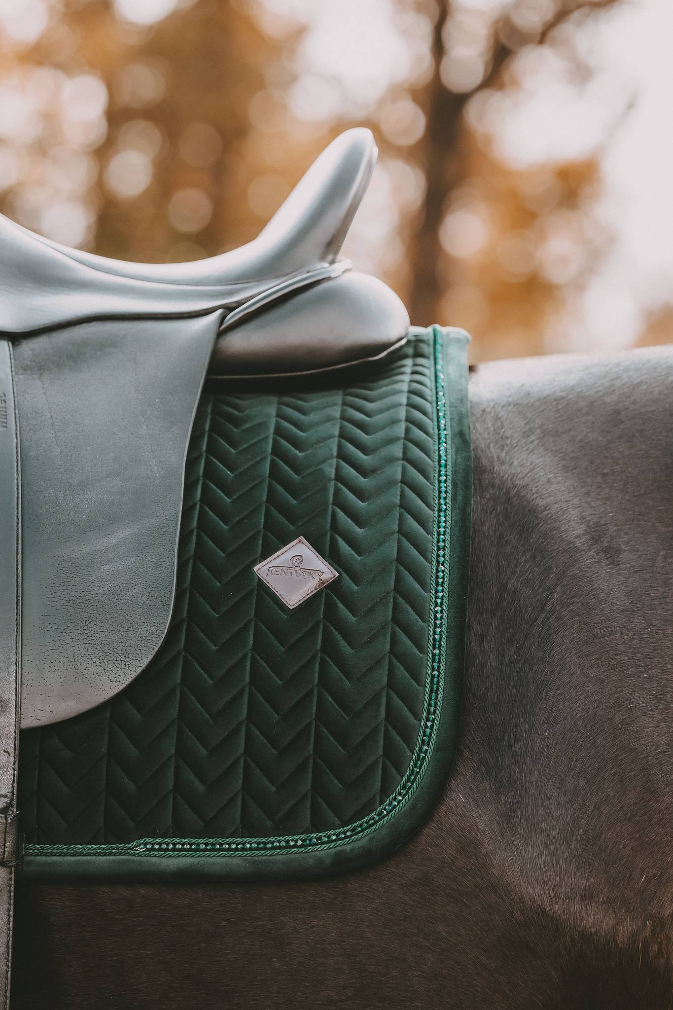 Velvet Pearl Fir Green Rug - KENTUCKY