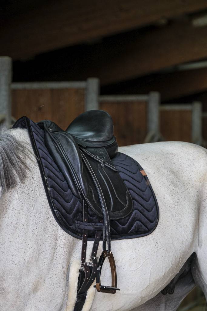 Glossy Carpet - Equithème