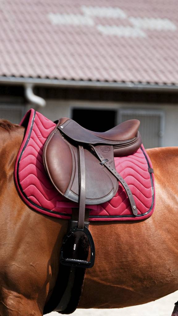 Glossy Carpet - Equithème