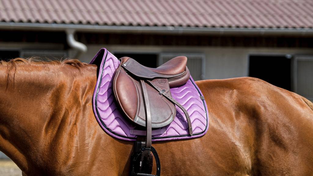 Glossy Carpet - Equithème