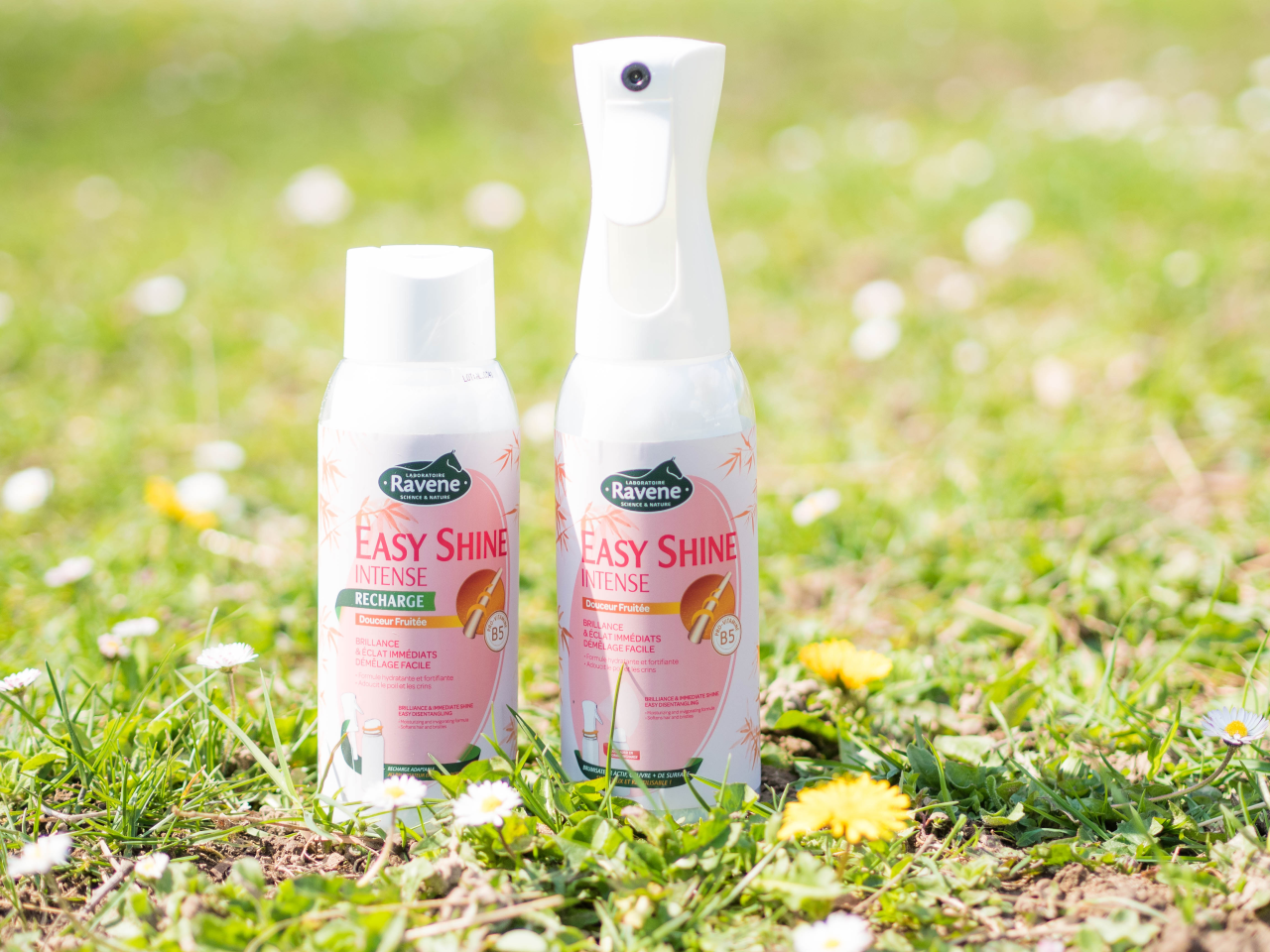 Démêlant Lustrant Easy Shine Intense - Ravene