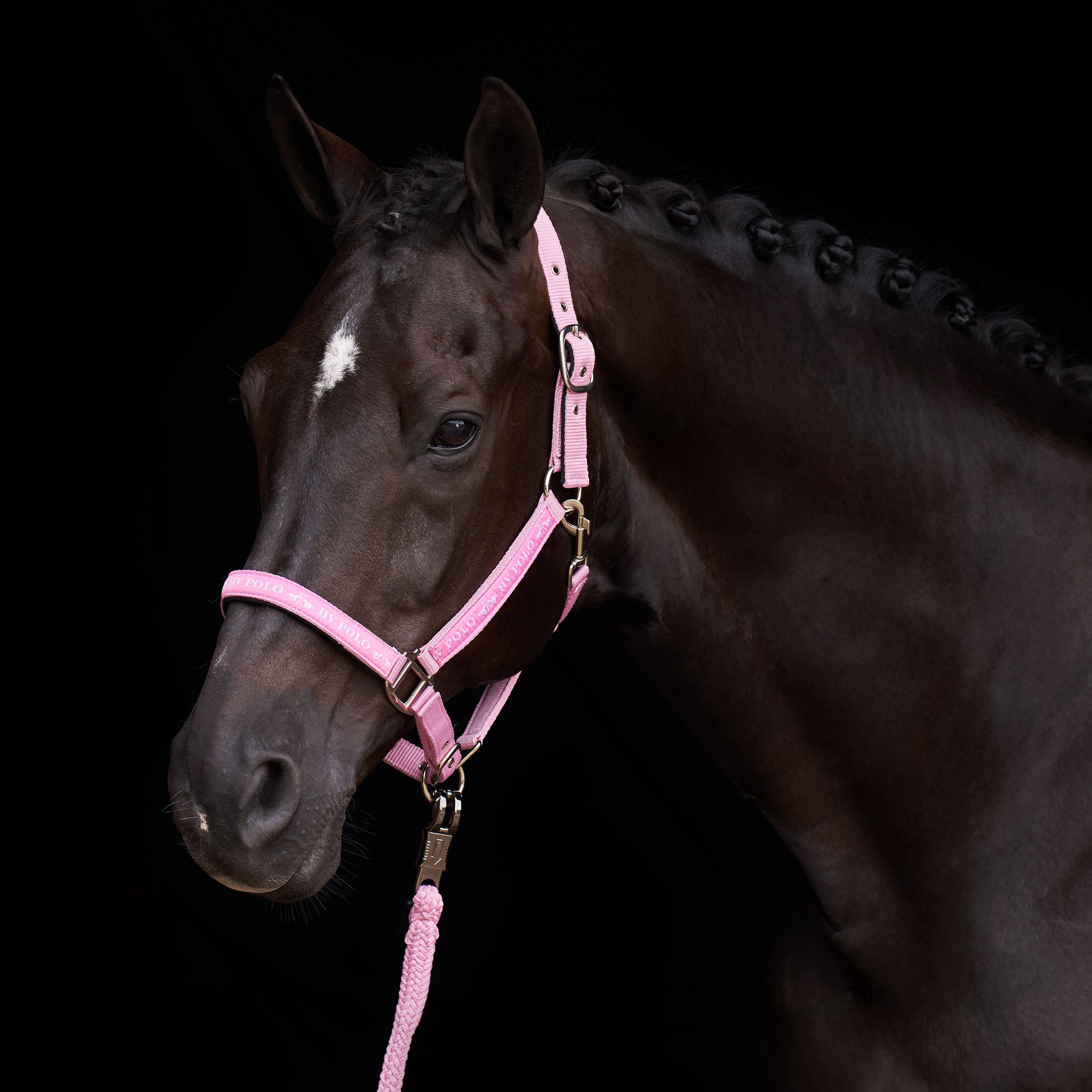 Licol Nena - HV POLO