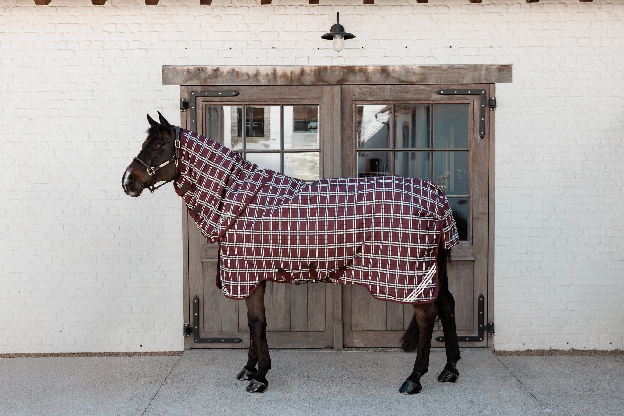 Couvre cou Imperméable All Weather Comfort 0g - Kentucky