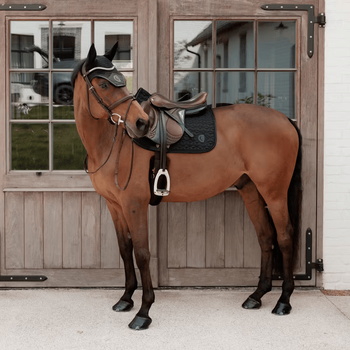 Tapis de selle Sparkling MIXTE - Kentucky