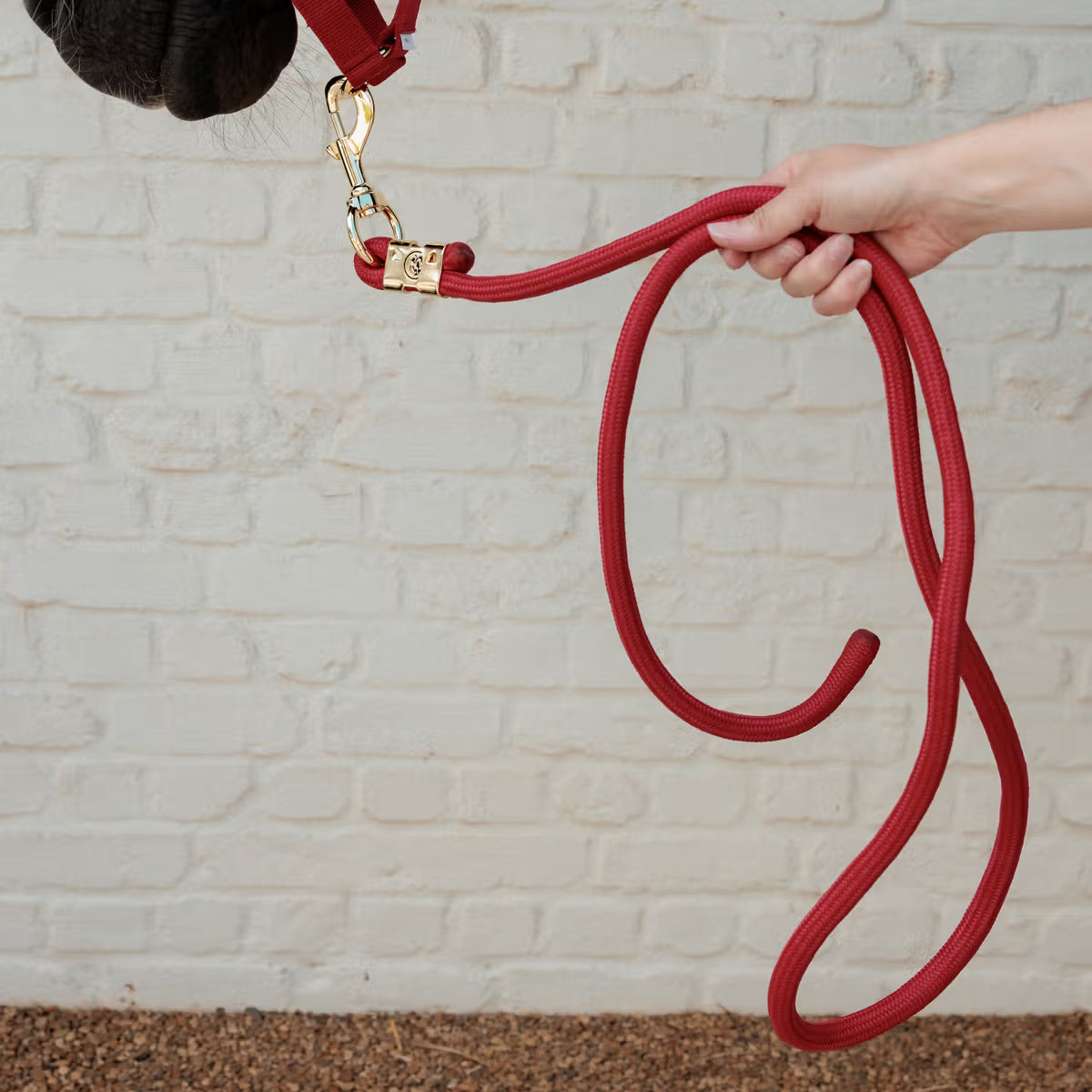 Longe Basic Rouge - Kentucky