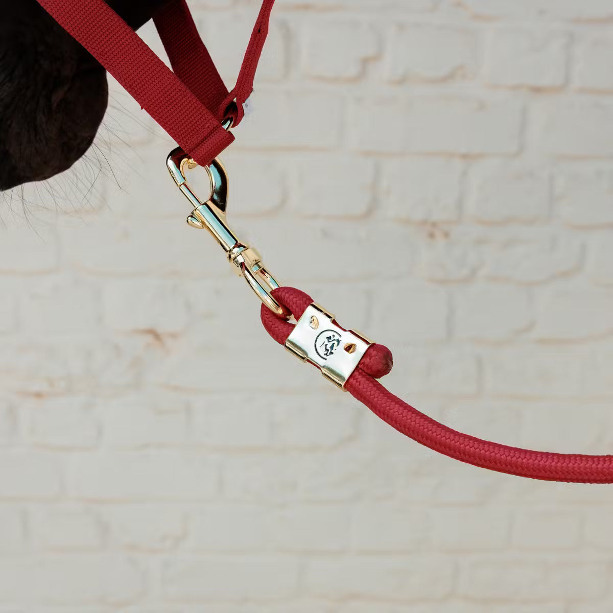 Longe Basic Rouge - Kentucky