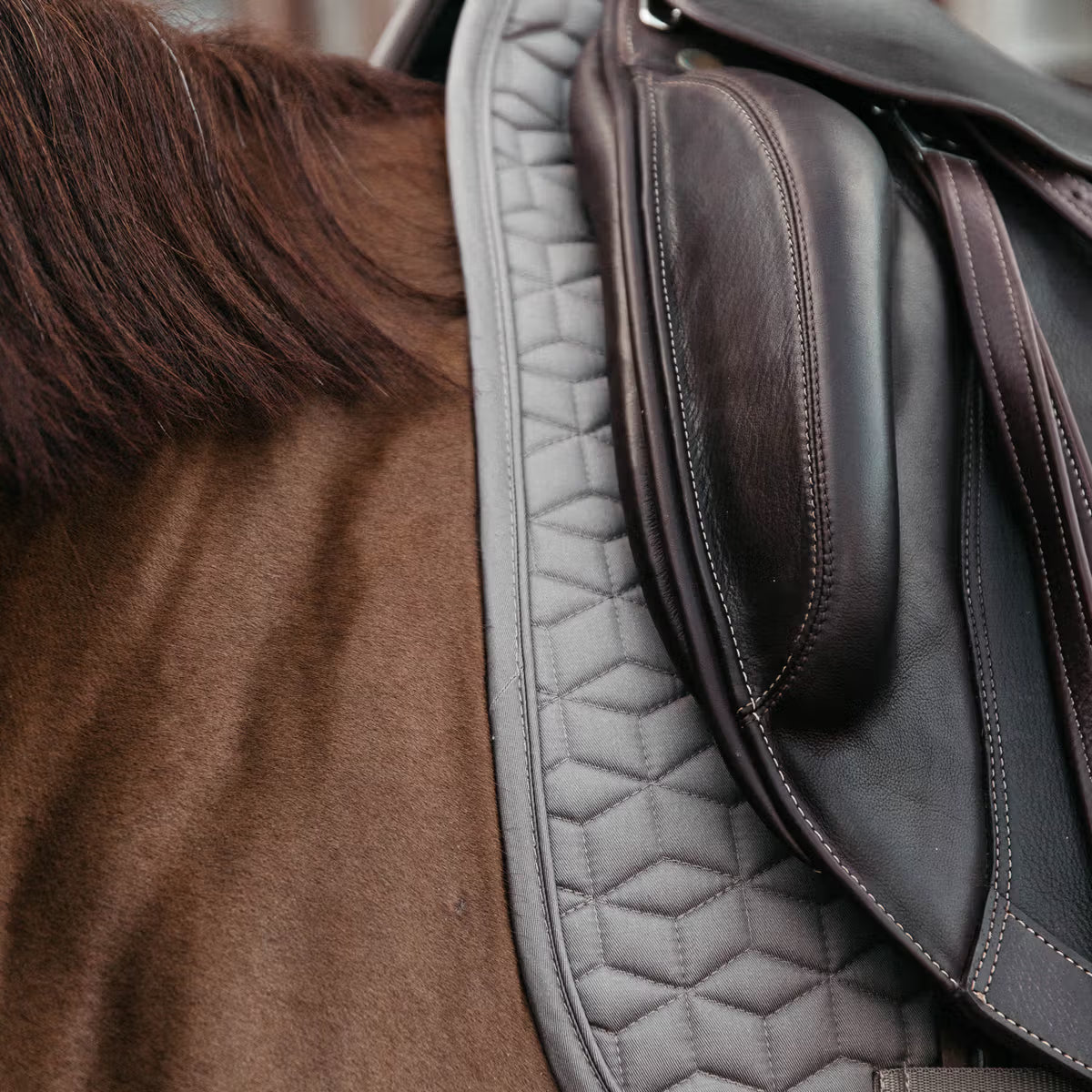 Tapis de selle Classique DRESSAGE - Kentucky