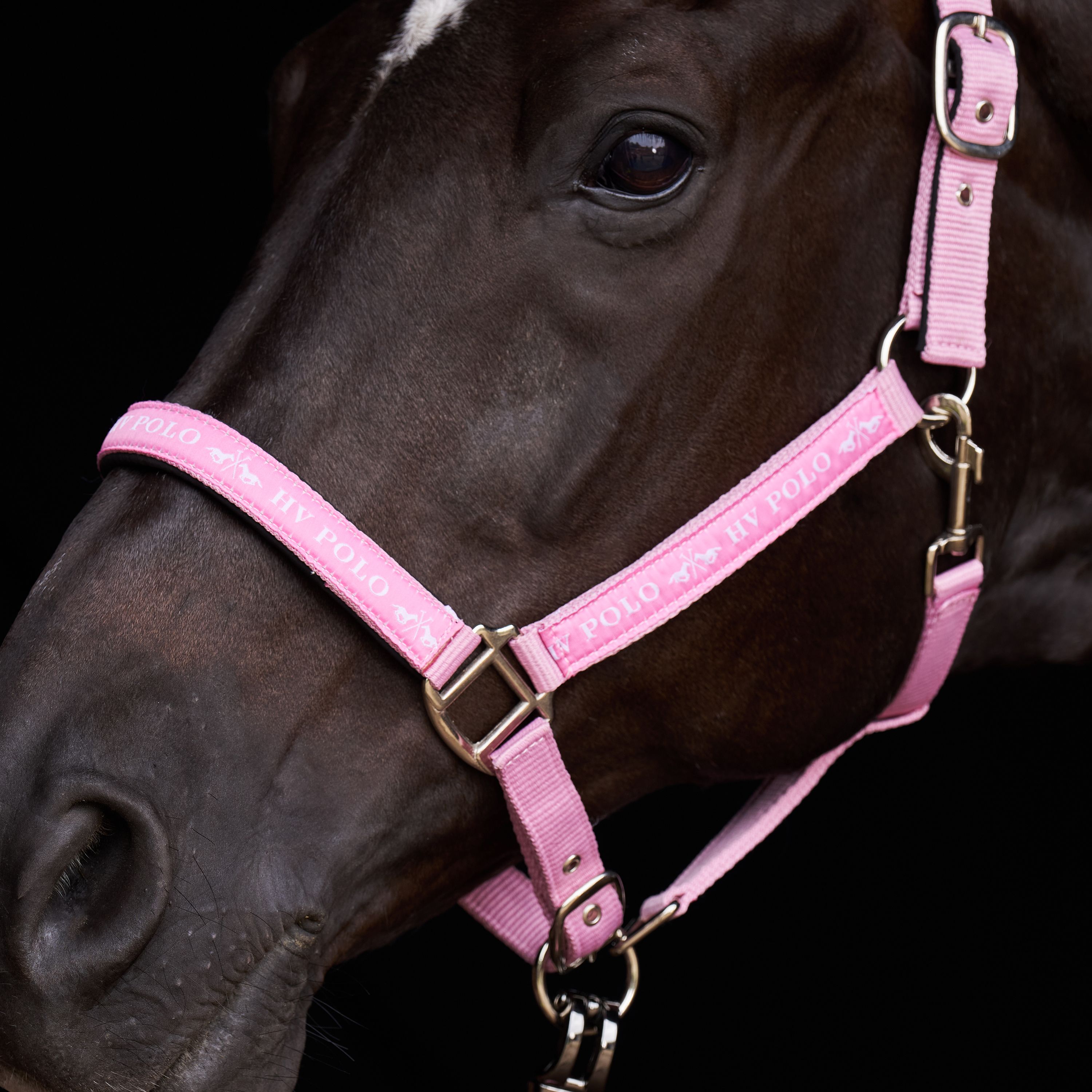 Licol Nena - HV POLO