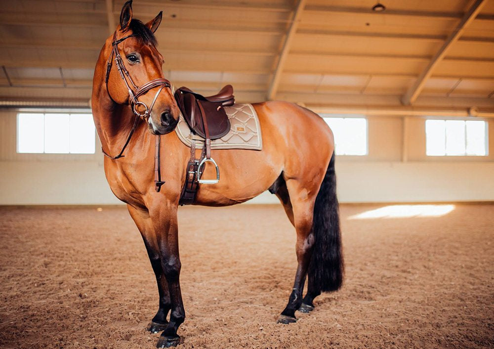Tapis de selle Equestrian Stockholm - CHAMPAGNE