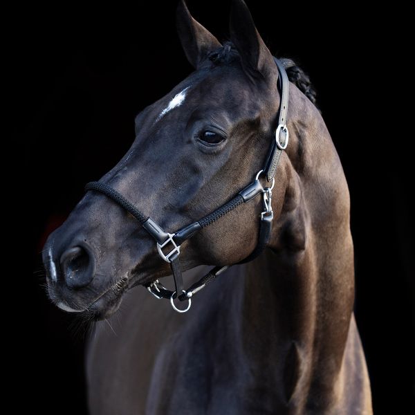 Franka halter and lead rope - HV Polo