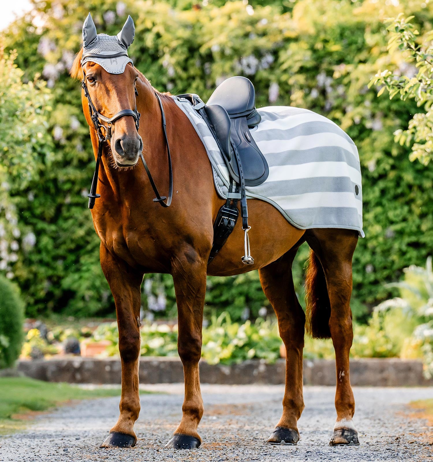 Couvre-rein Rambo Competition - HORSEWARE