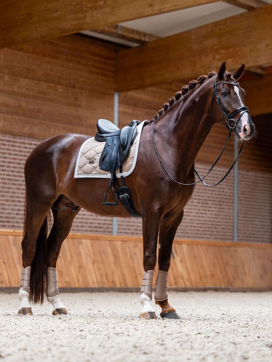Tapis de selle SAND Dressage- Equestrian Stockholm