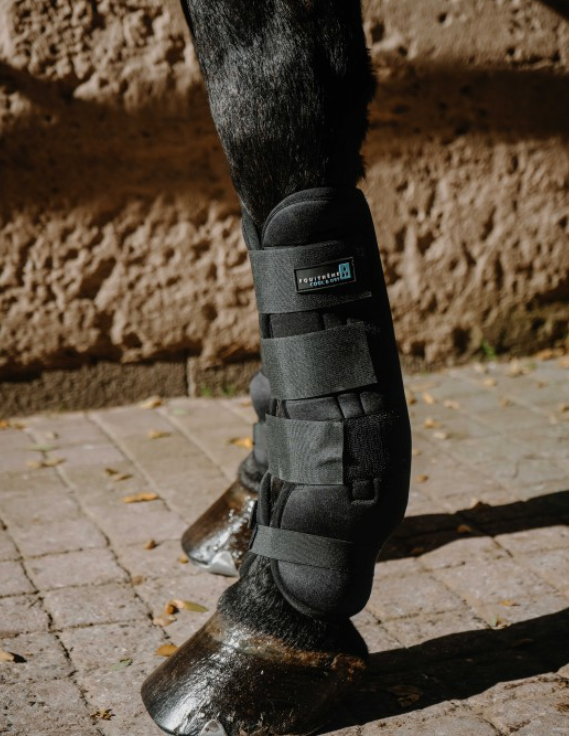 Guetres rafraichissantes Cool & Dry - EQUITHEME