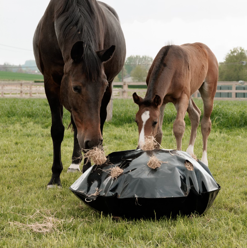 Sac à foin rond Play & Slow feeder - Grooming Deluxe