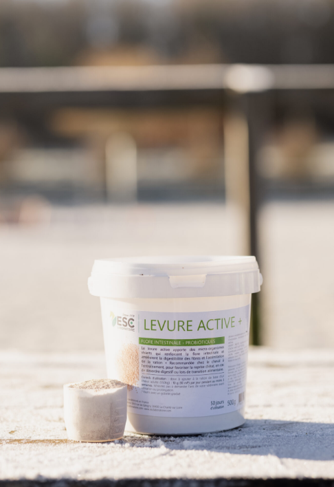 Levure Active + Probiotiques flore intestinale et digestion - ESC LABORATOIRE