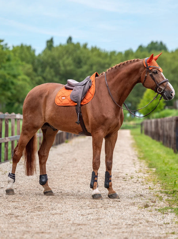 Tapis de selle Satin Chestnut MIXTE - EEQUESTRIAN STOCKHOLM