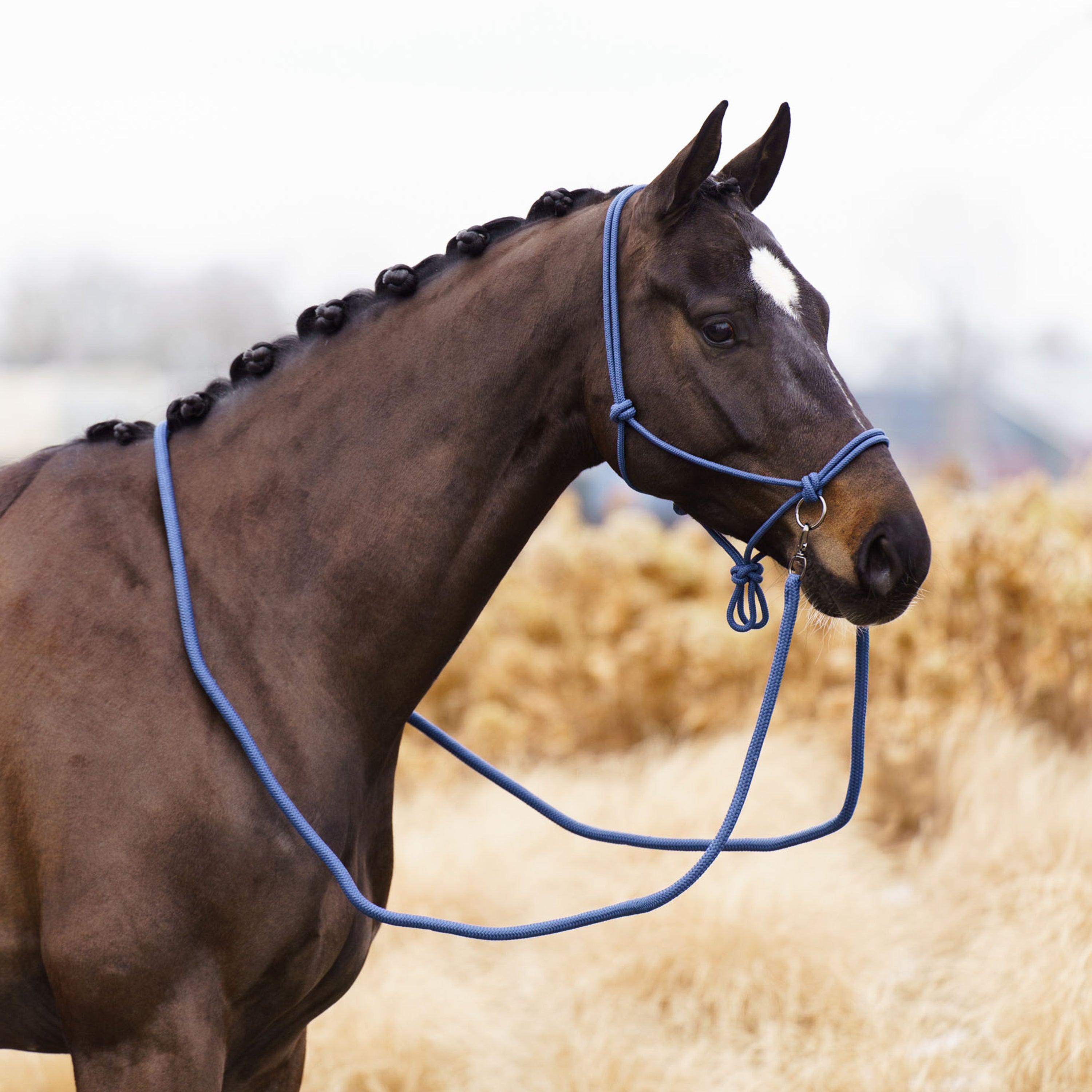Licol en corde Free Ride - IMPERIAL RIDING