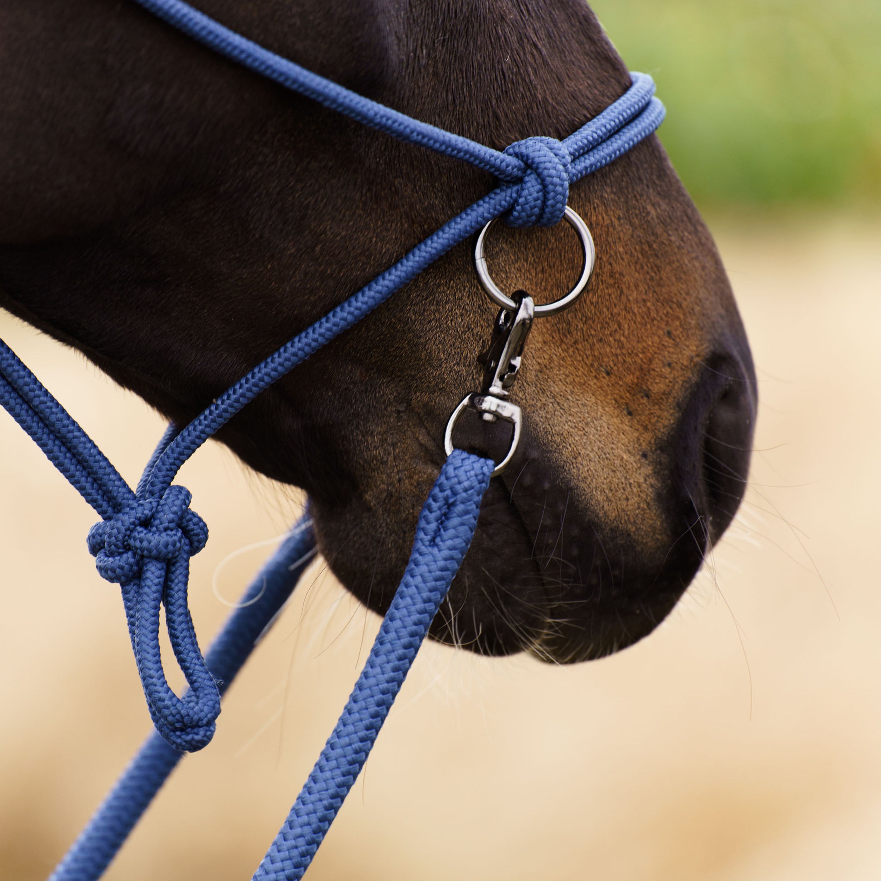 Licol en corde Free Ride - IMPERIAL RIDING