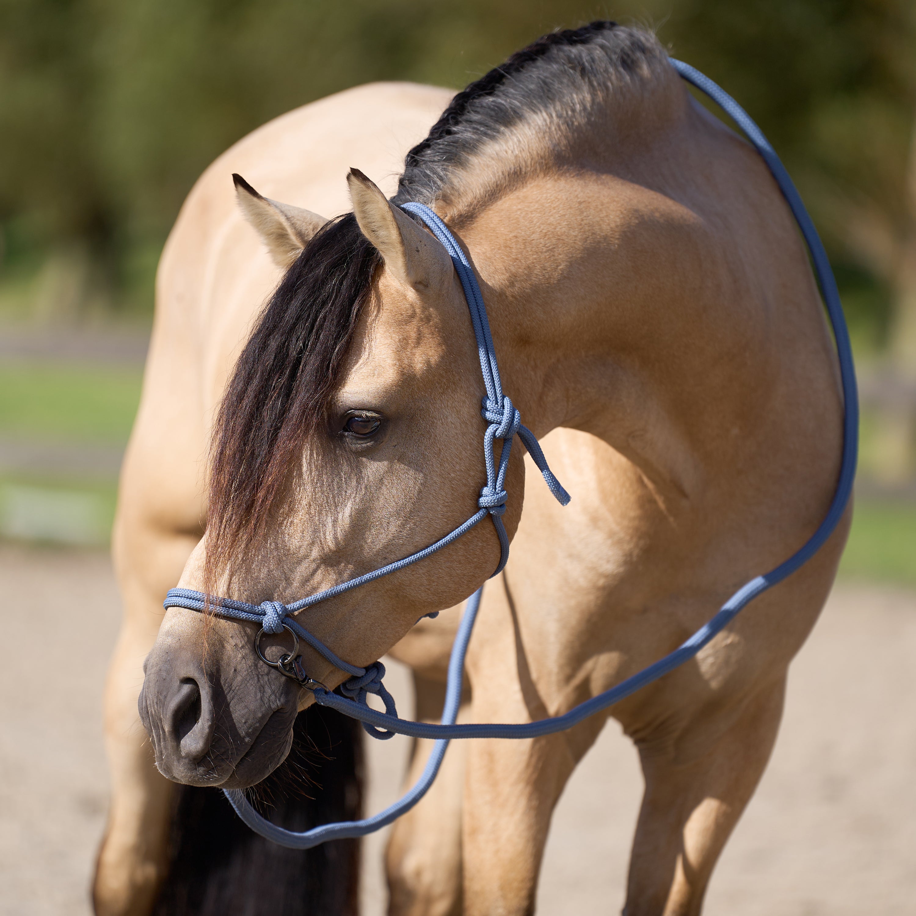 Licol en corde Free Ride - IMPERIAL RIDING