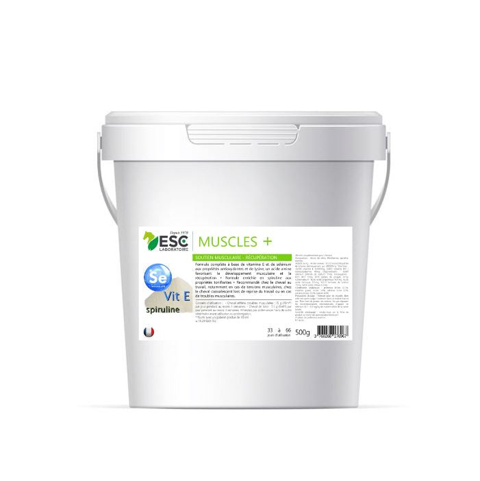 Muscle + Musculation - ESC LABORATOIRE