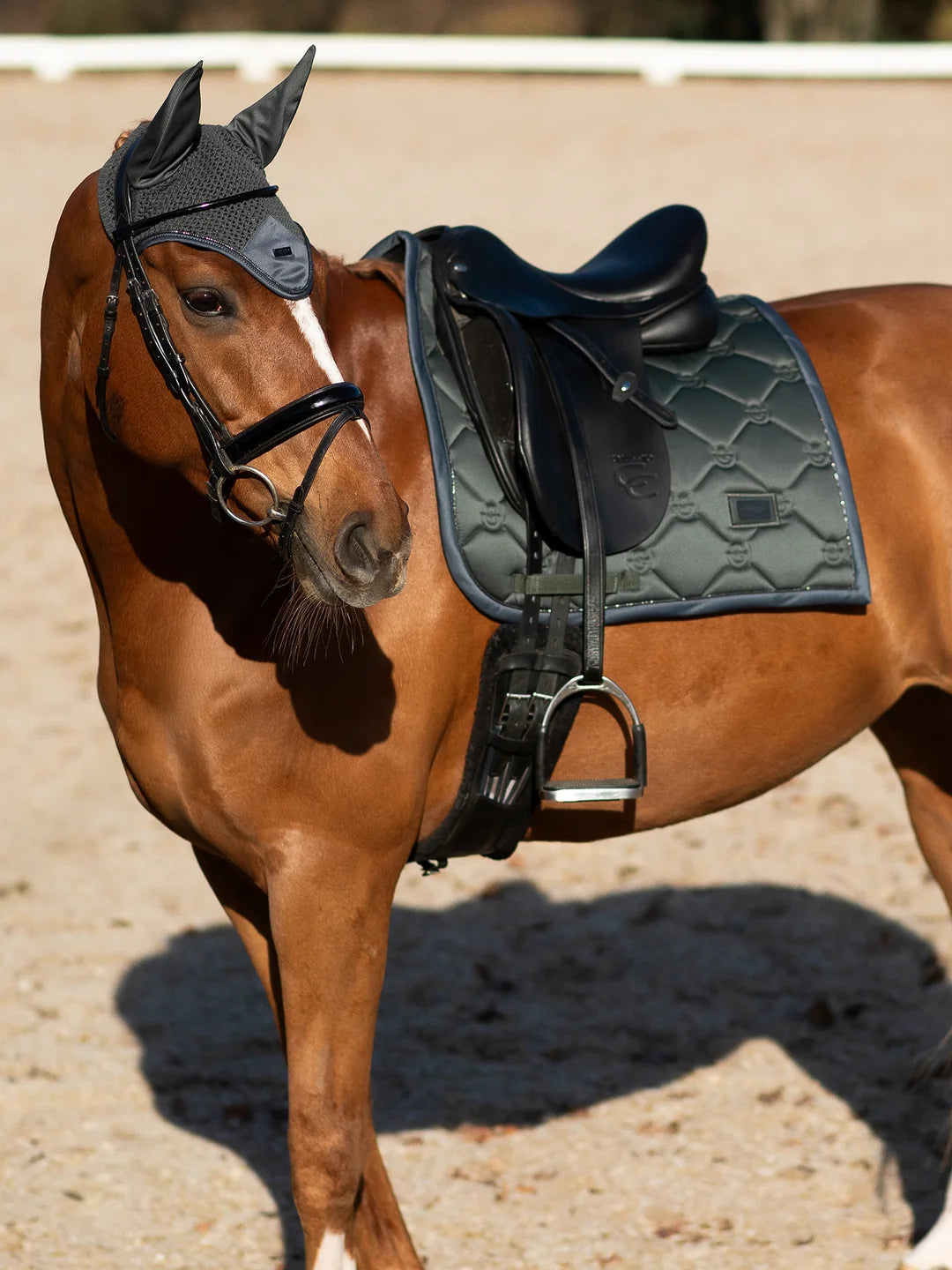 Tapis de selle Avenue green DRESSAGE - EQUESTRIAN STOCKHOLM