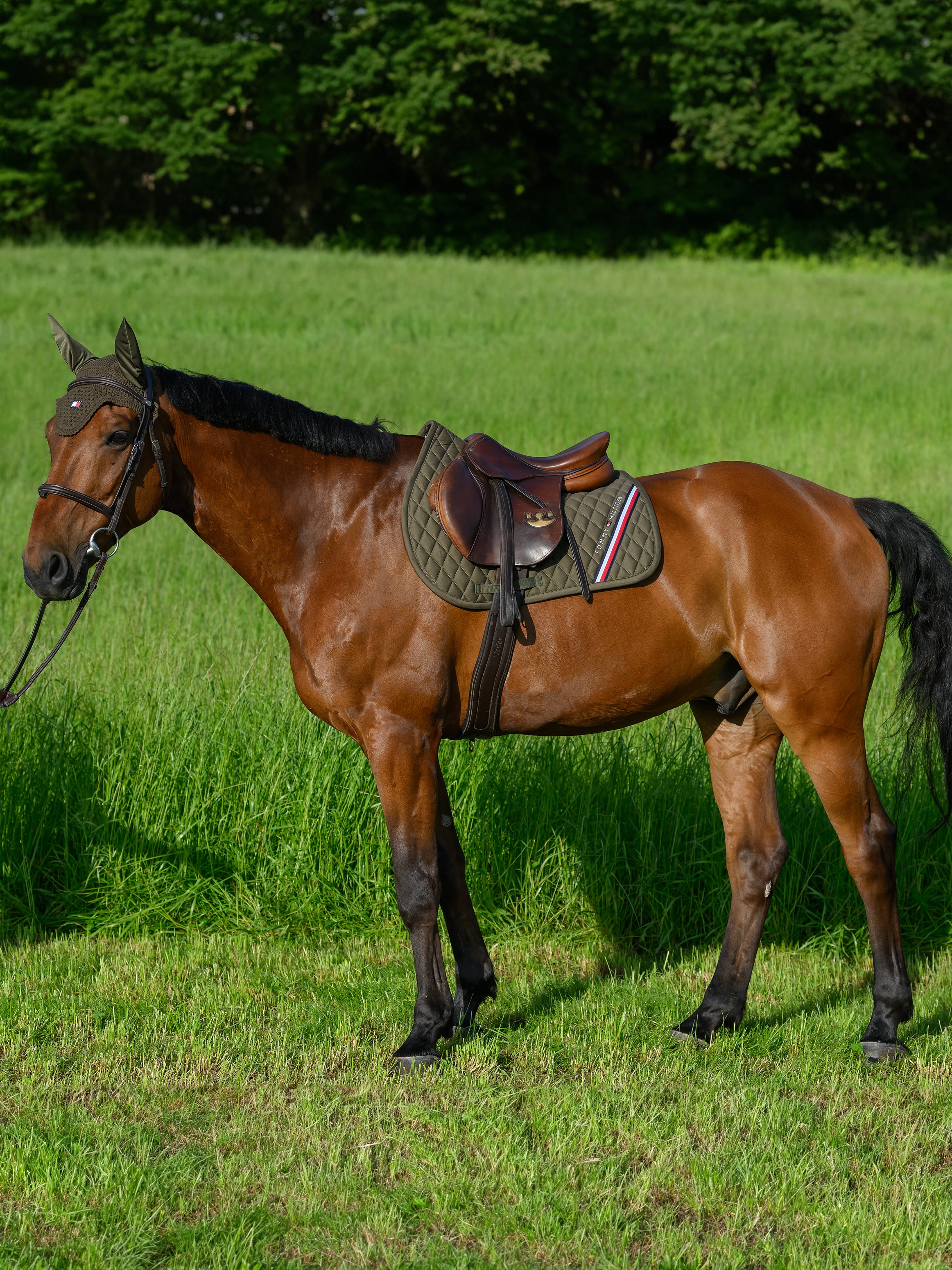 Tapis de selle Stanford MIXTE - TOMMY HILFIGER