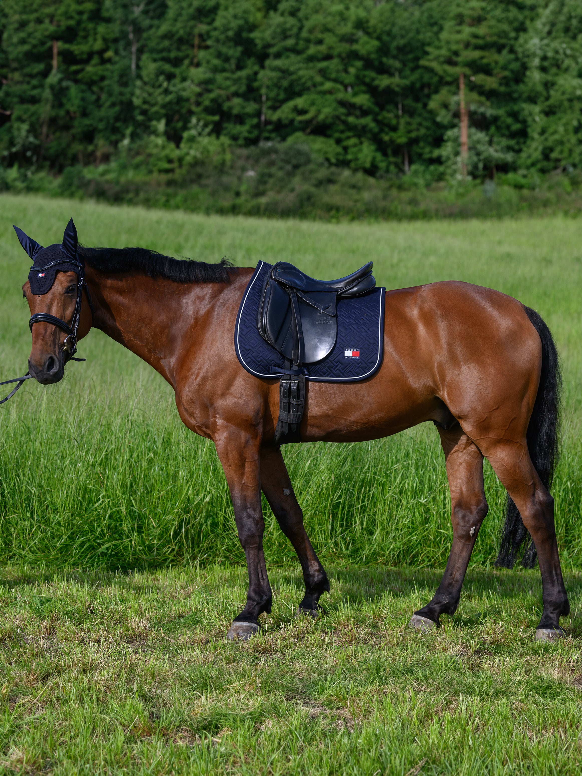 Tapis de selle Harvard DRESSAGE - TOMMY HILFIGER