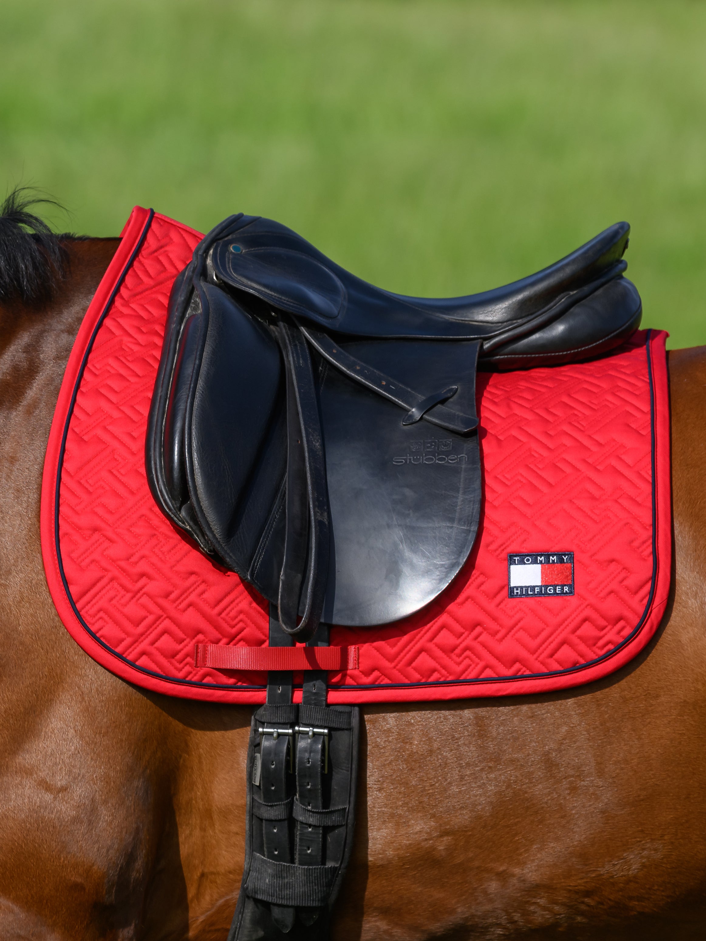 Tapis de selle Harvard DRESSAGE - TOMMY HILFIGER