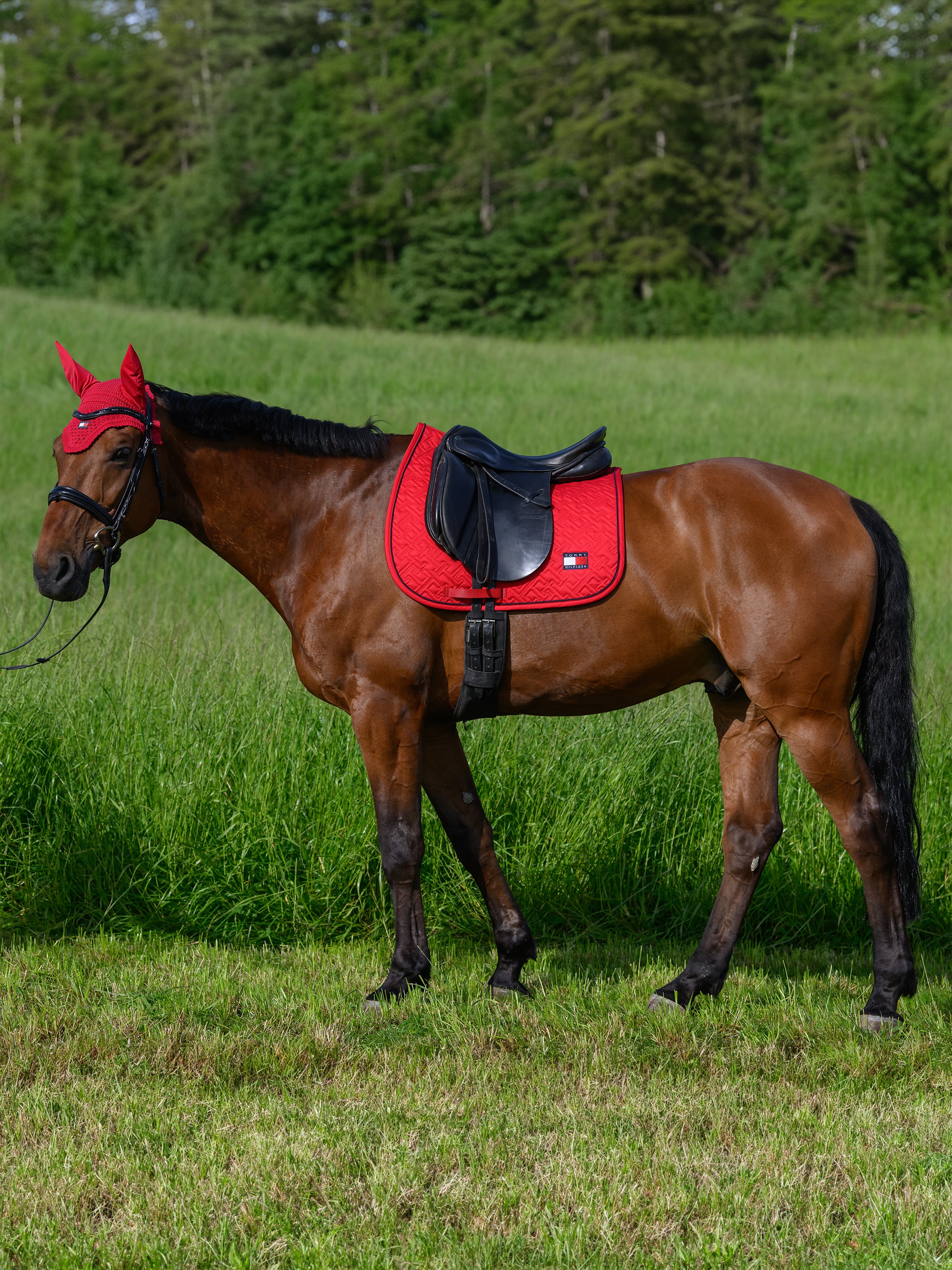 Tapis de selle Harvard DRESSAGE - TOMMY HILFIGER