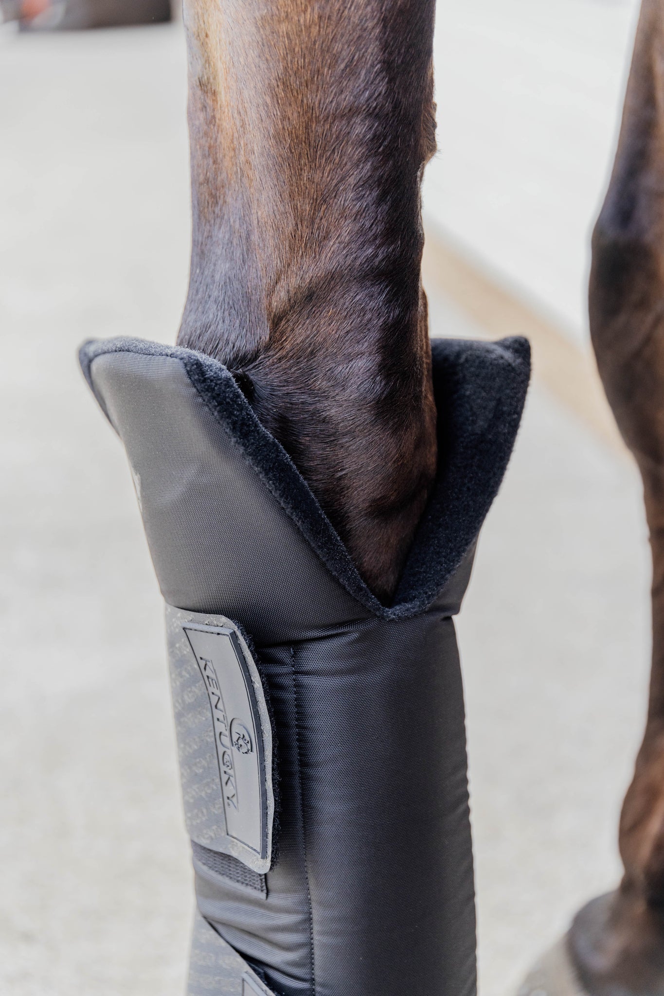 Guêtres de repos PROtect Classic - KENTUCKY